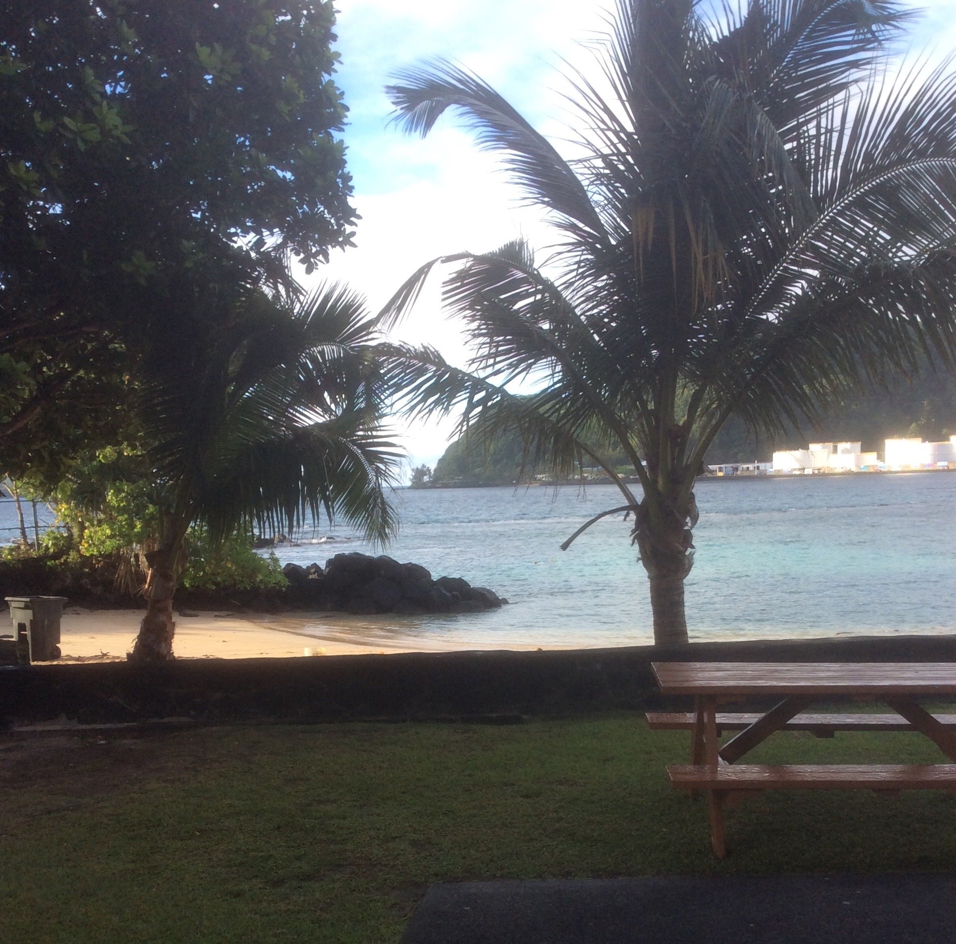 Sadie's by The Sea-泳池