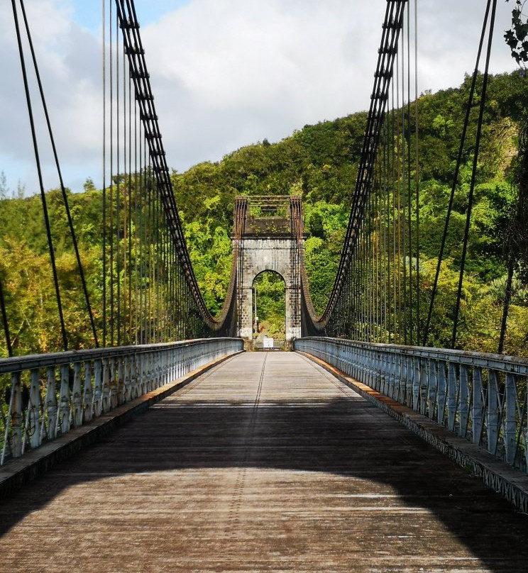 Pont Suspendu de la Rivière de l'Est景点图片