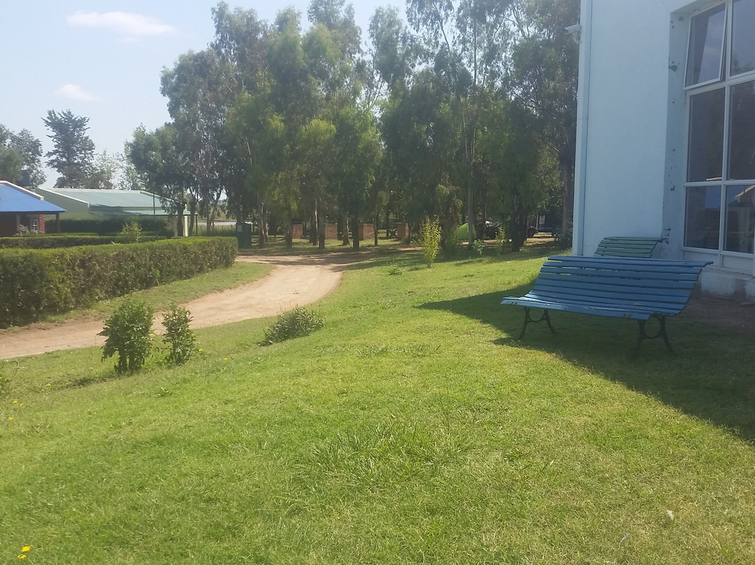 Spa Cabanas y Camping Levalle