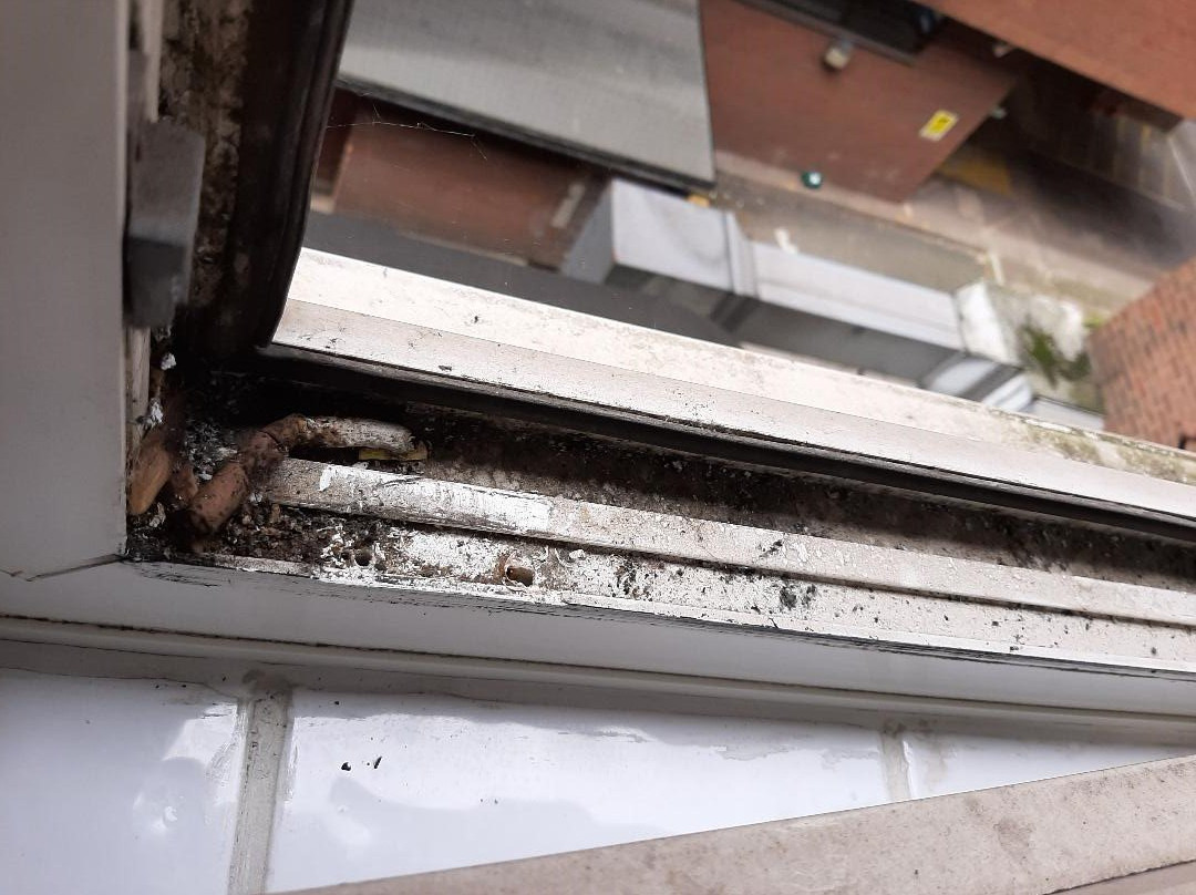 Lansdowne Hotel主图