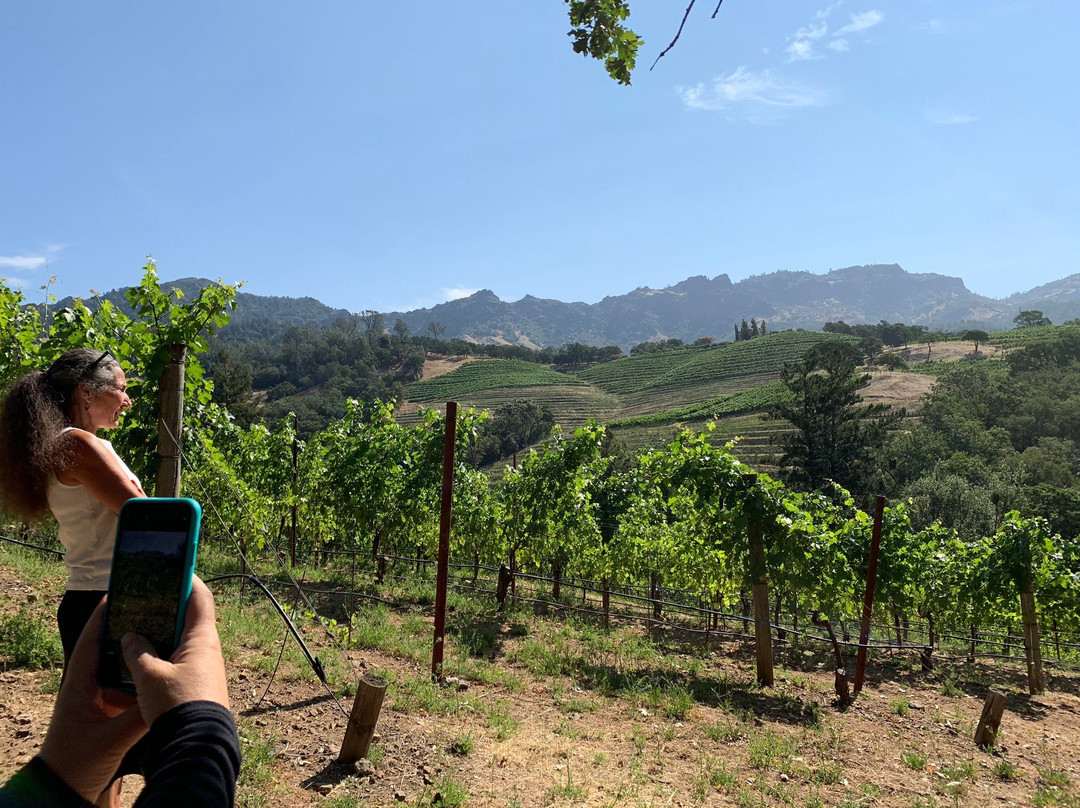 Jericho Canyon Vineyard景点图片