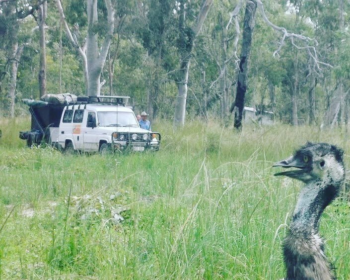 Man and Dog Bush Adventures-道格拉斯港必去景点