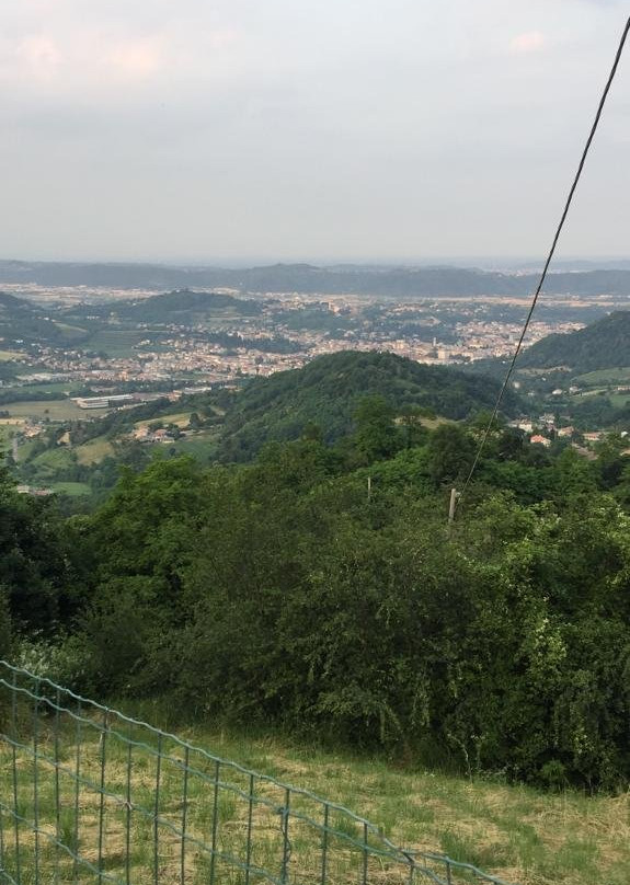 Agriturismo Da Celestina主图