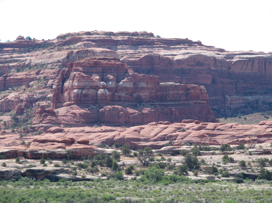 Cave Spring-峡谷地国家公园必去景点