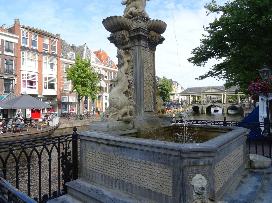 Vismarktfontein-莱顿必去景点