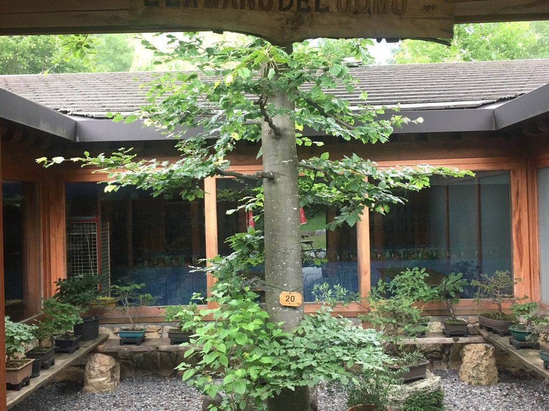 Arboreto Alpino Gleno-Vilminore di Scalve必去景点