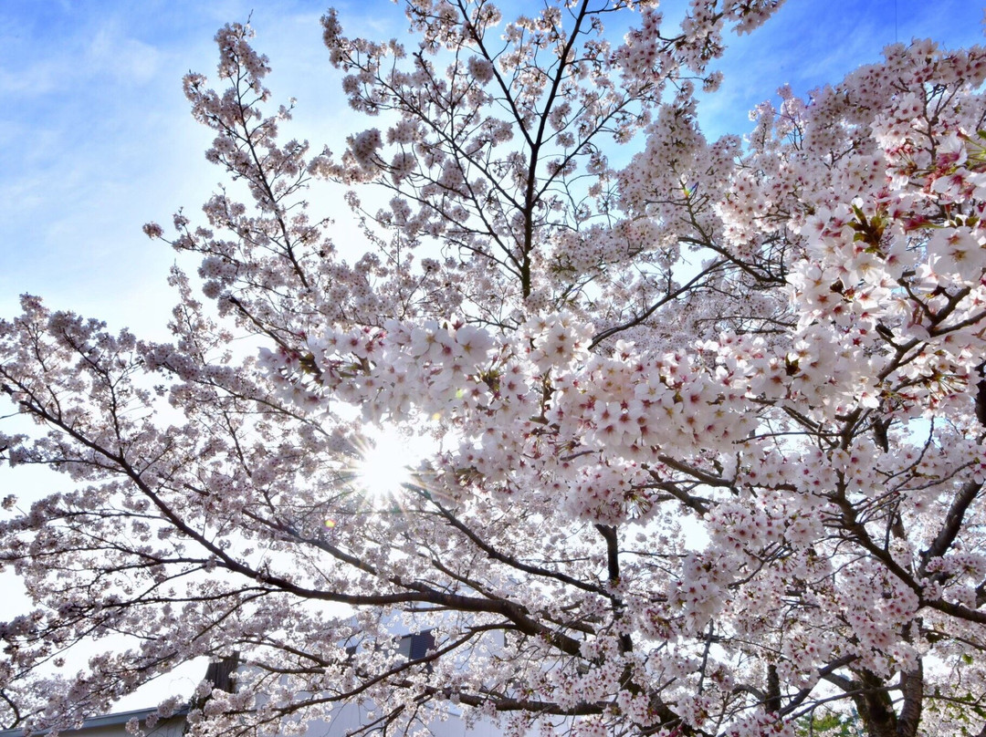 Hachimanyama Park-宇都宫市必去景点