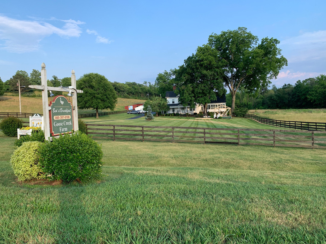 Goose Creek Farm Bed and Breakfast主图
