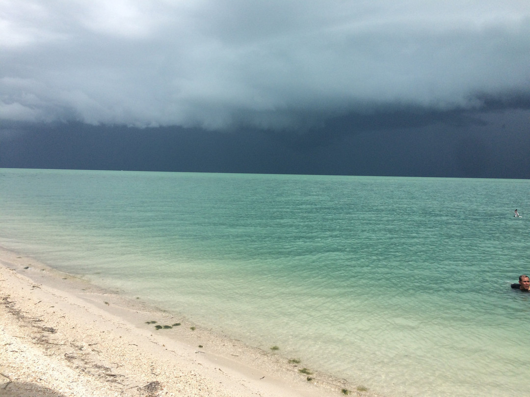 Playa Punta San Julian-卡门城必去景点