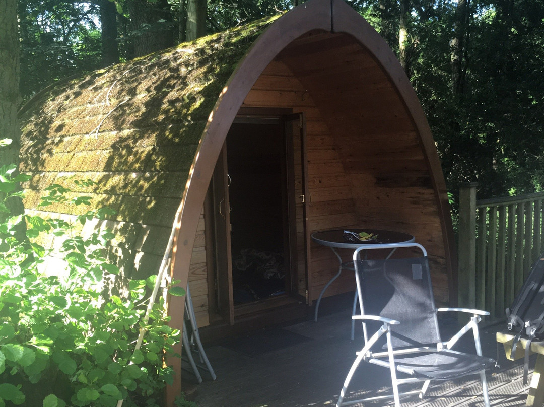 Bryn Dwr Pods and B&B