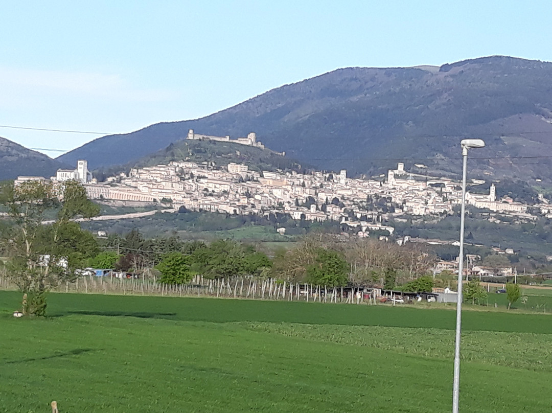 Camere Mariella主图