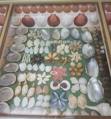 Ayr Nature Display-Ayr必去景点