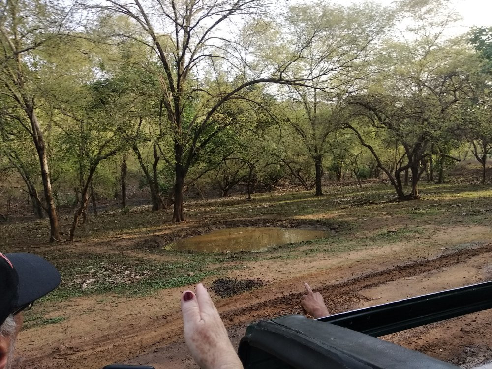 null-Ranthambore National Park