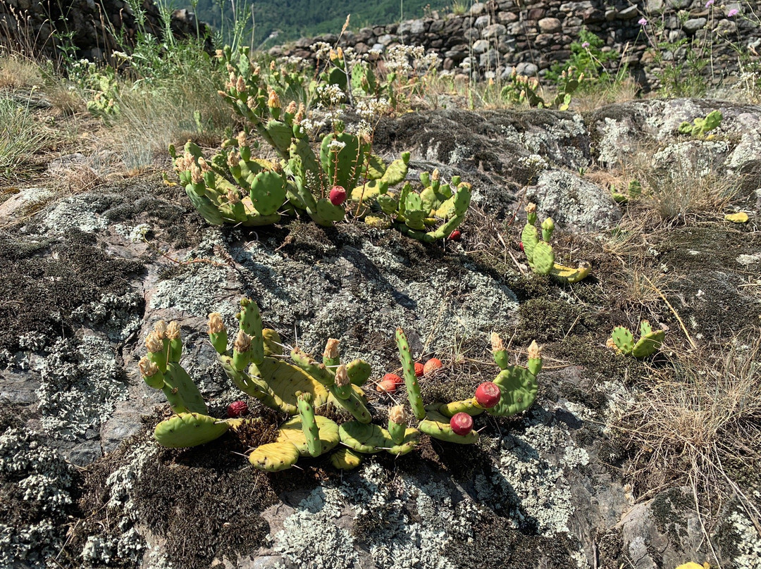 Castel Grumello-Montagna in Valtellina必去景点