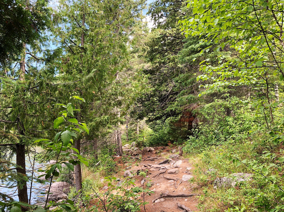 Hunt Lake Hiking Trail景点图片