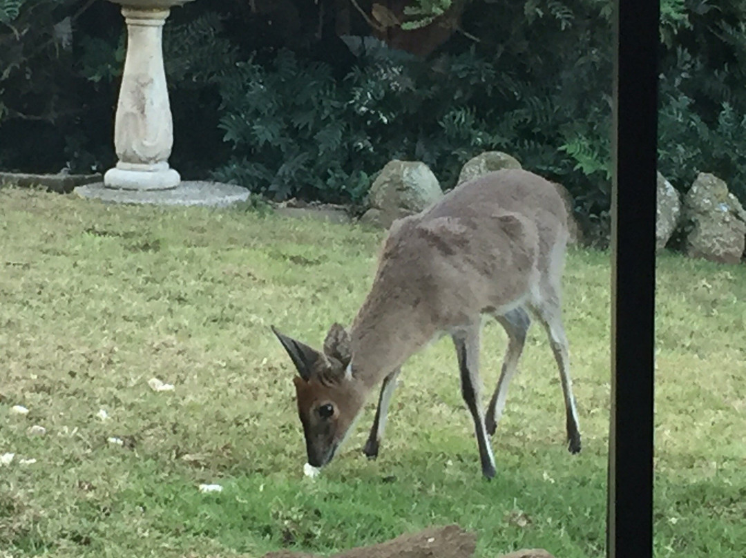 Thatchings Guest House主图