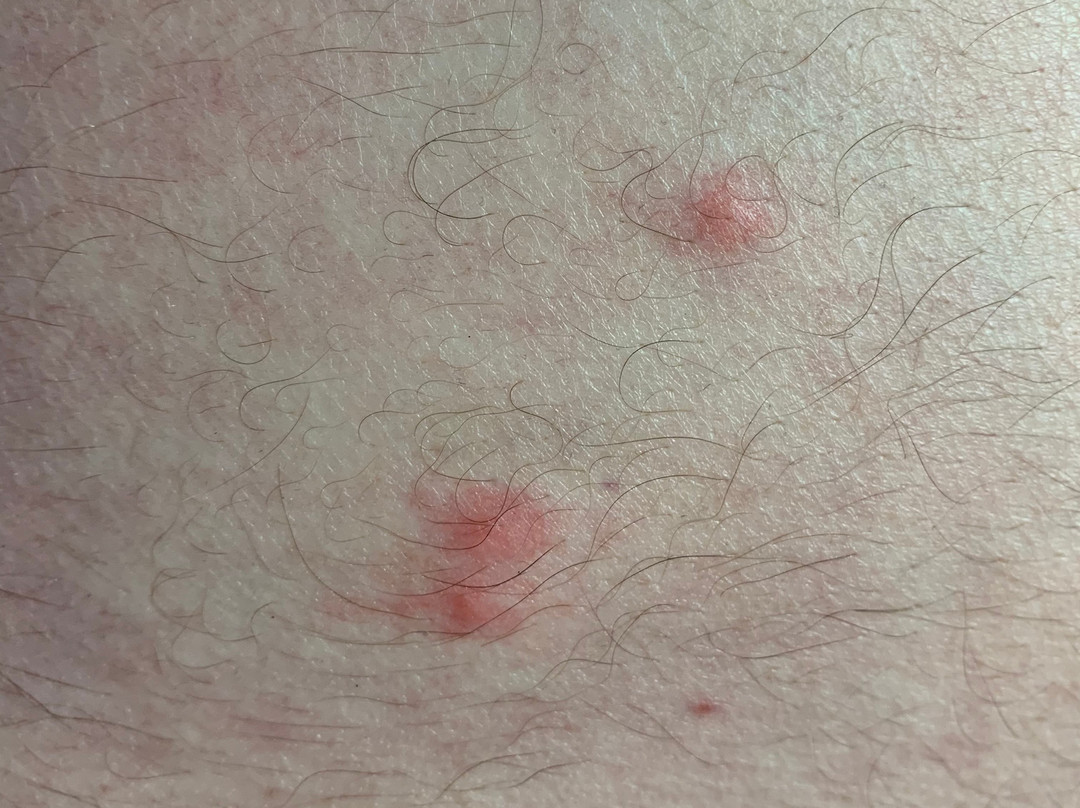 Comfort Inn Ballard-Roosevelt主图