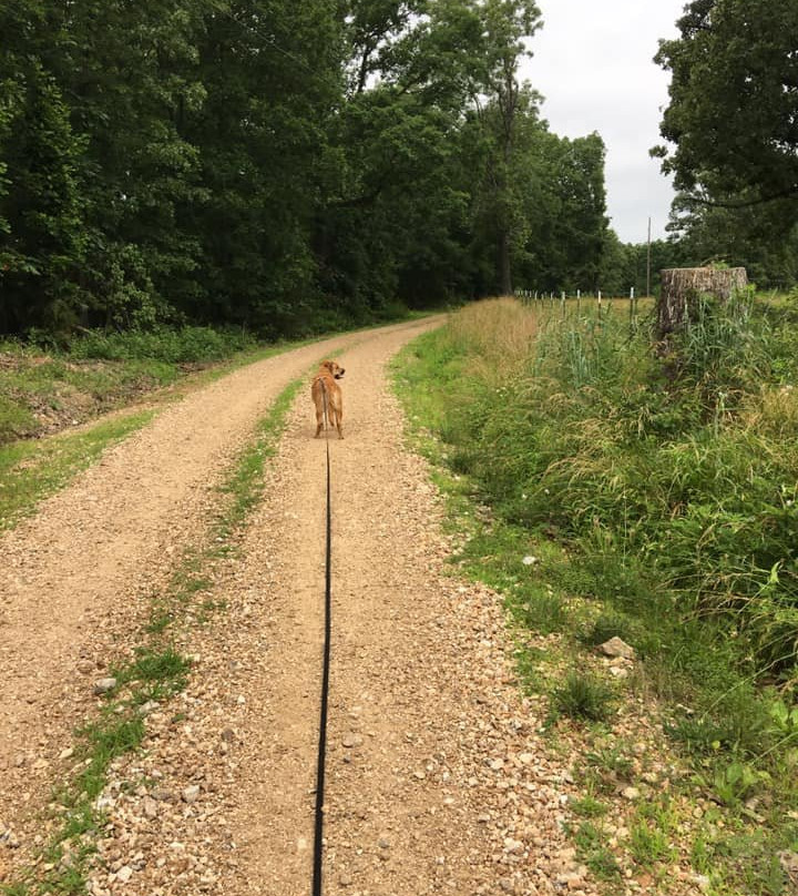 Rock Eddy Bluff Farm cabins主图