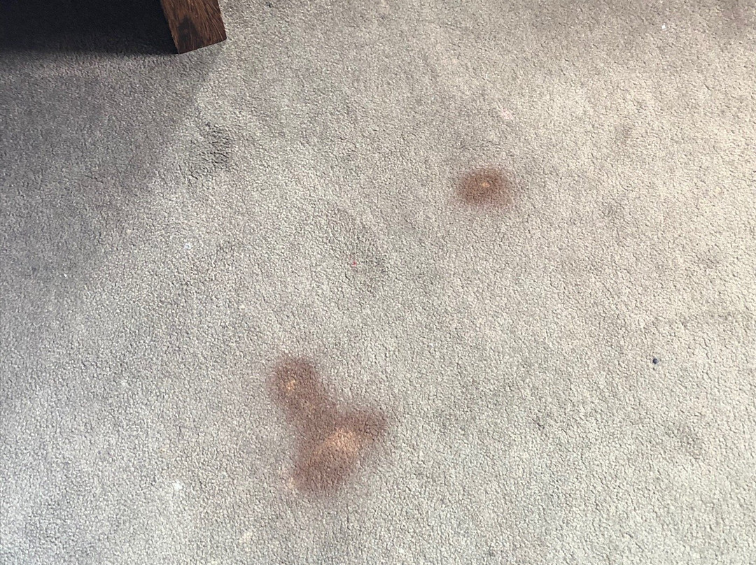 Hotel da Penha主图