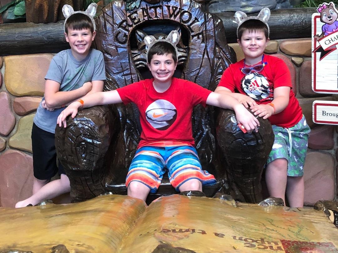 特拉弗斯城大灰狼洛奇酒店主图