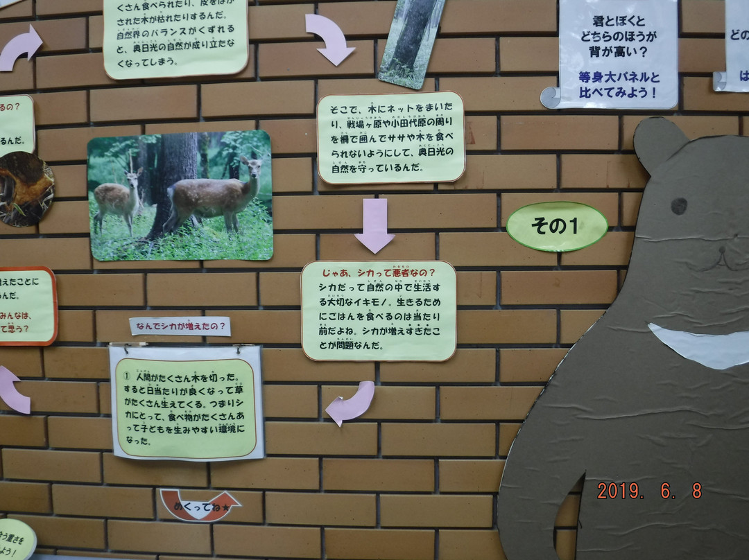 Tochigi Prefectural Nikko Natural Science Museum景点图片