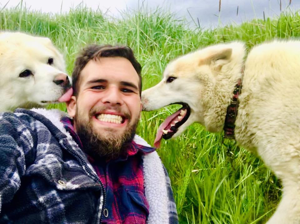 Dogsledding Iceland-莫斯费德斯拜尔必去景点