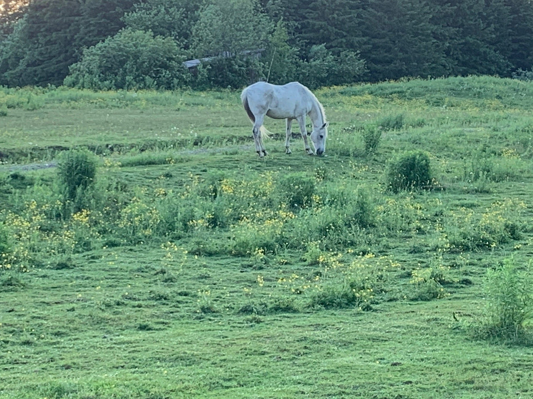 Ranch St-Hubert