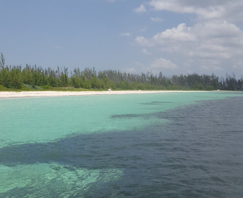 Power Boat Beach Party-弗里波特必去景点