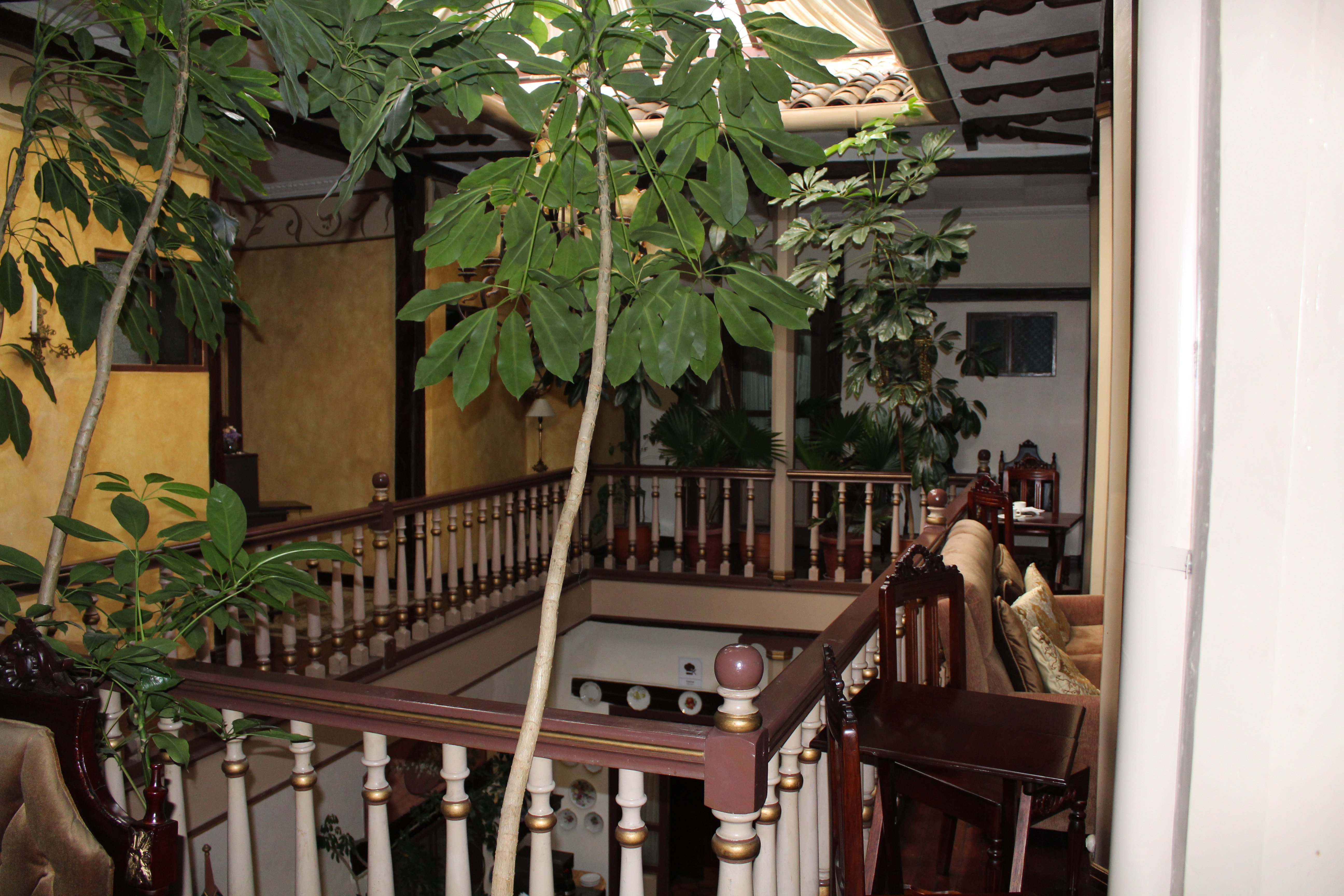 Hotel Casa San Rafael-酒店景观