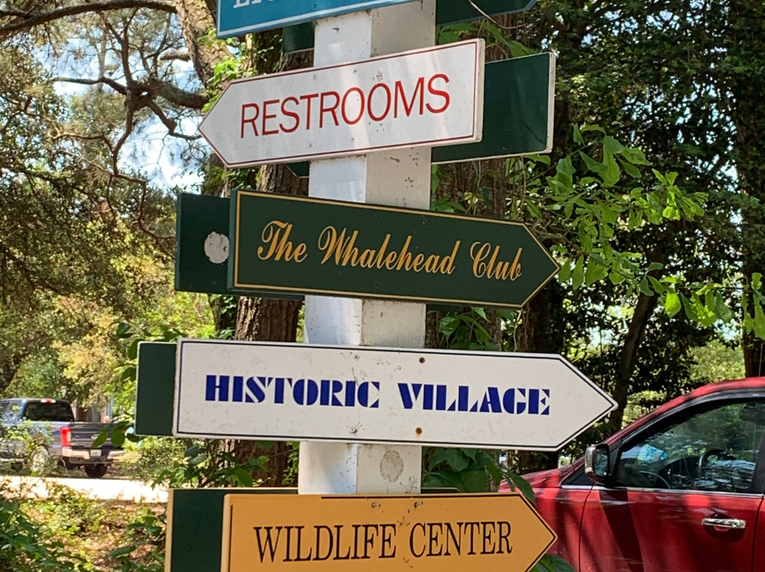 Coastal Explorations-卡罗拉必去景点