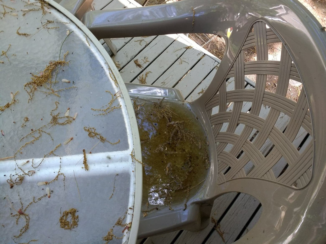 Windjammer On The Lake主图