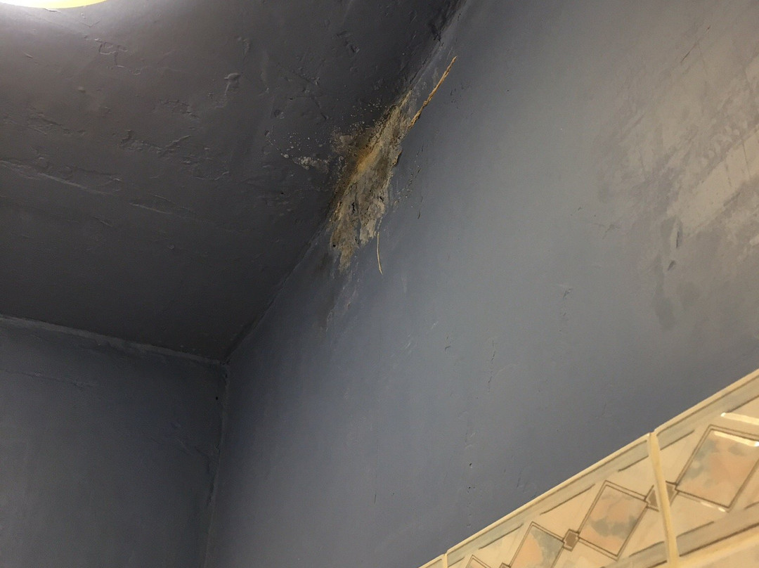 Hotel Font de Lauro主图