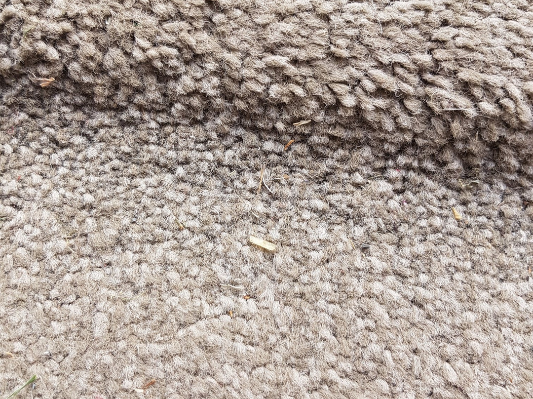 Takapuna International Motor Lodge主图