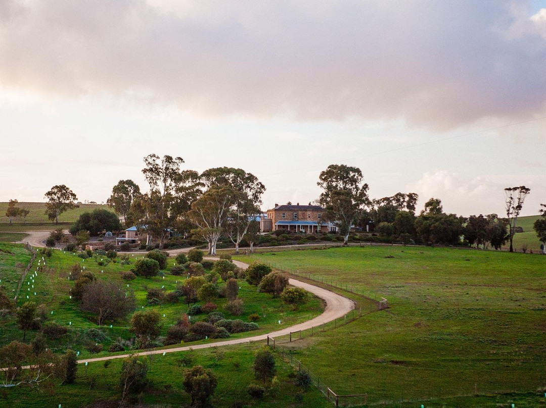Barossa Wellness景点图片