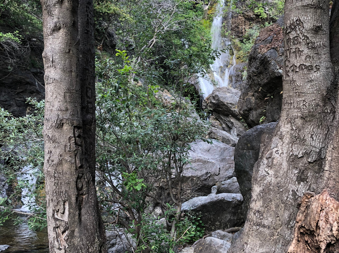 Salmon Creek Falls Trail景点图片
