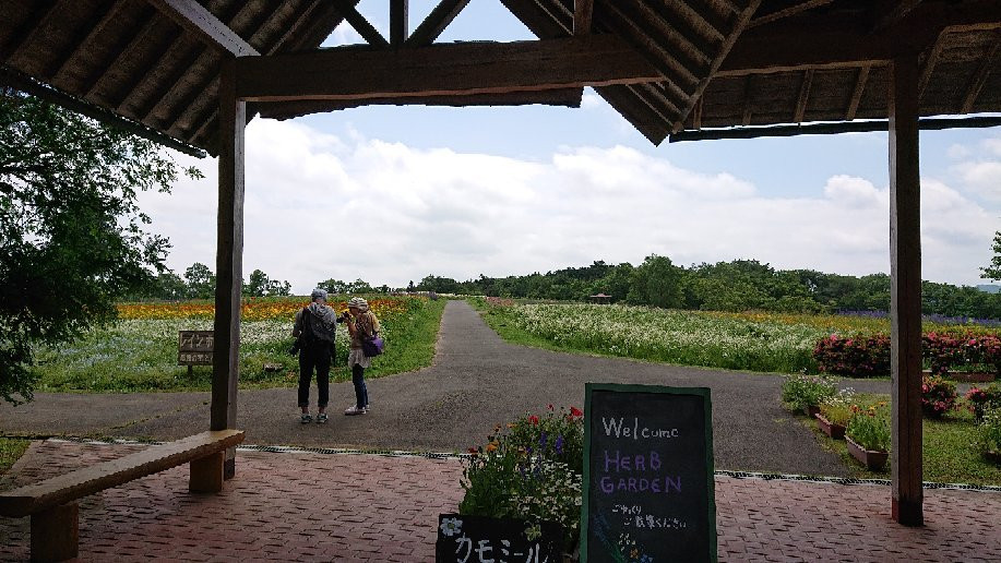 Menard Aoyama Resort Herb Garden景点图片