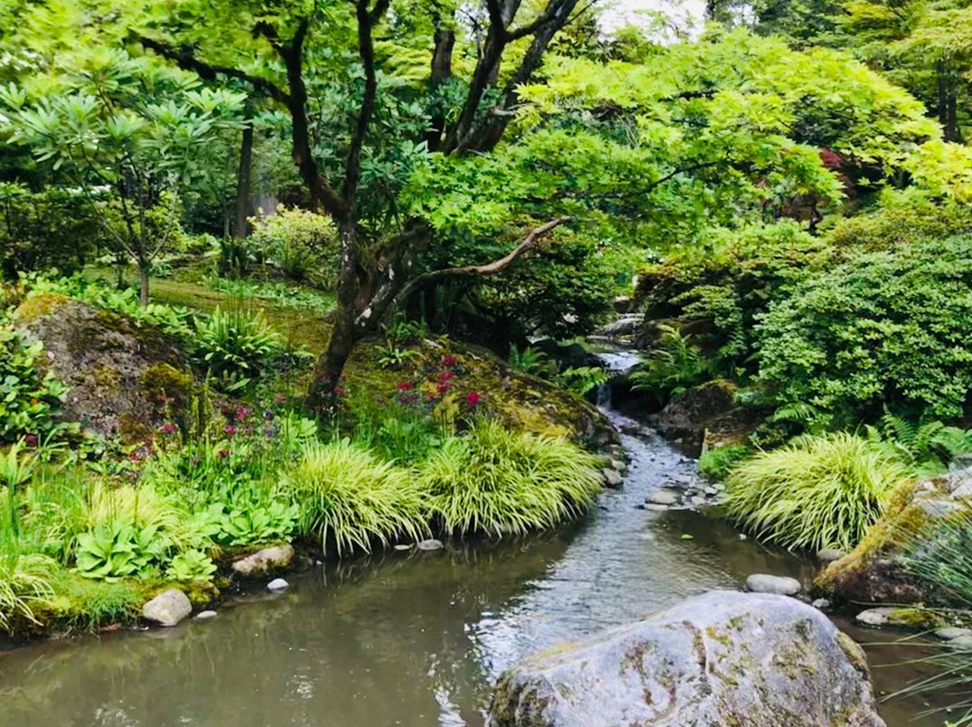 日本茶园景点图片