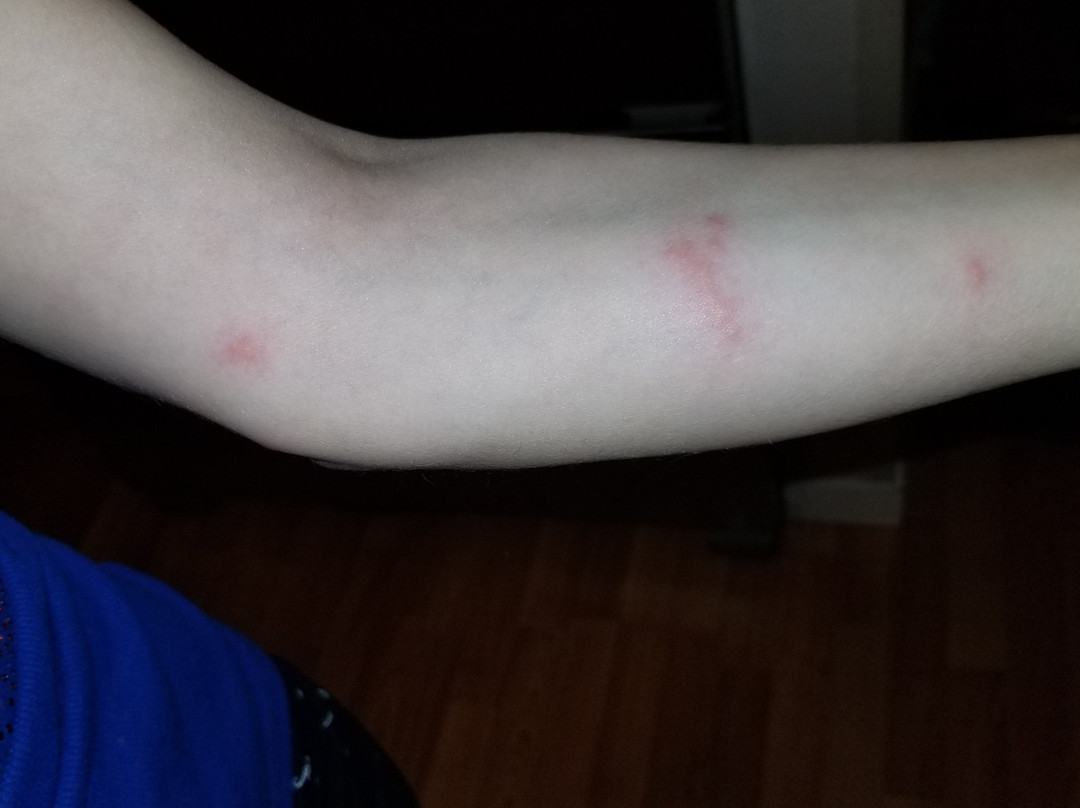 Chelan Resort Suites主图