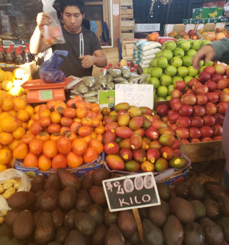 Terminal Agropecuario de Iquique - Region de Tarapaca-伊基克必去景点