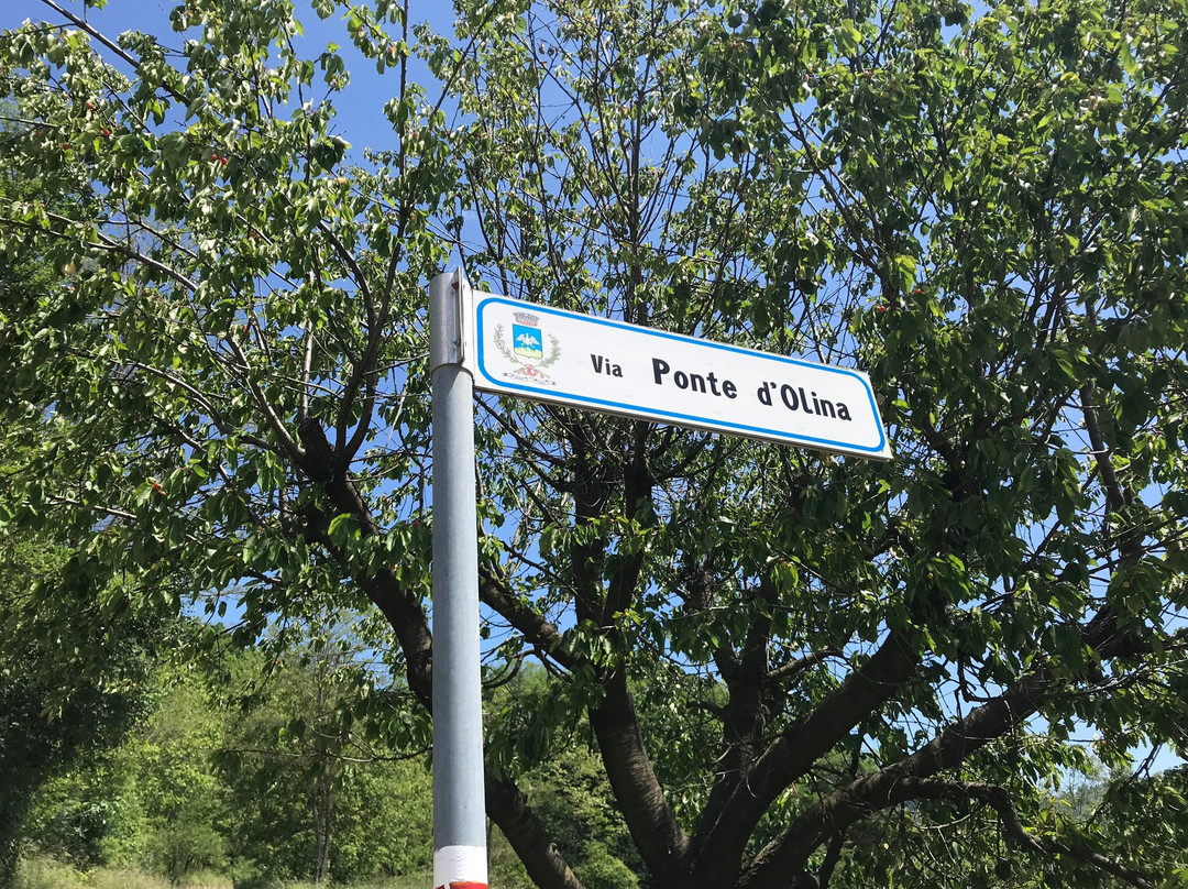 Laghetto Ponte Vecchio景点图片