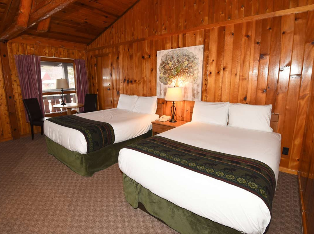 Timber Inn Motel主图