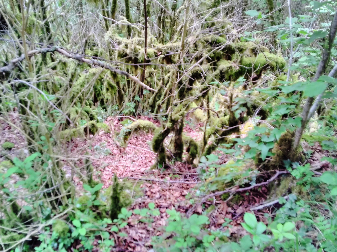 Gorges de Pereille-Roquefixade必去景点