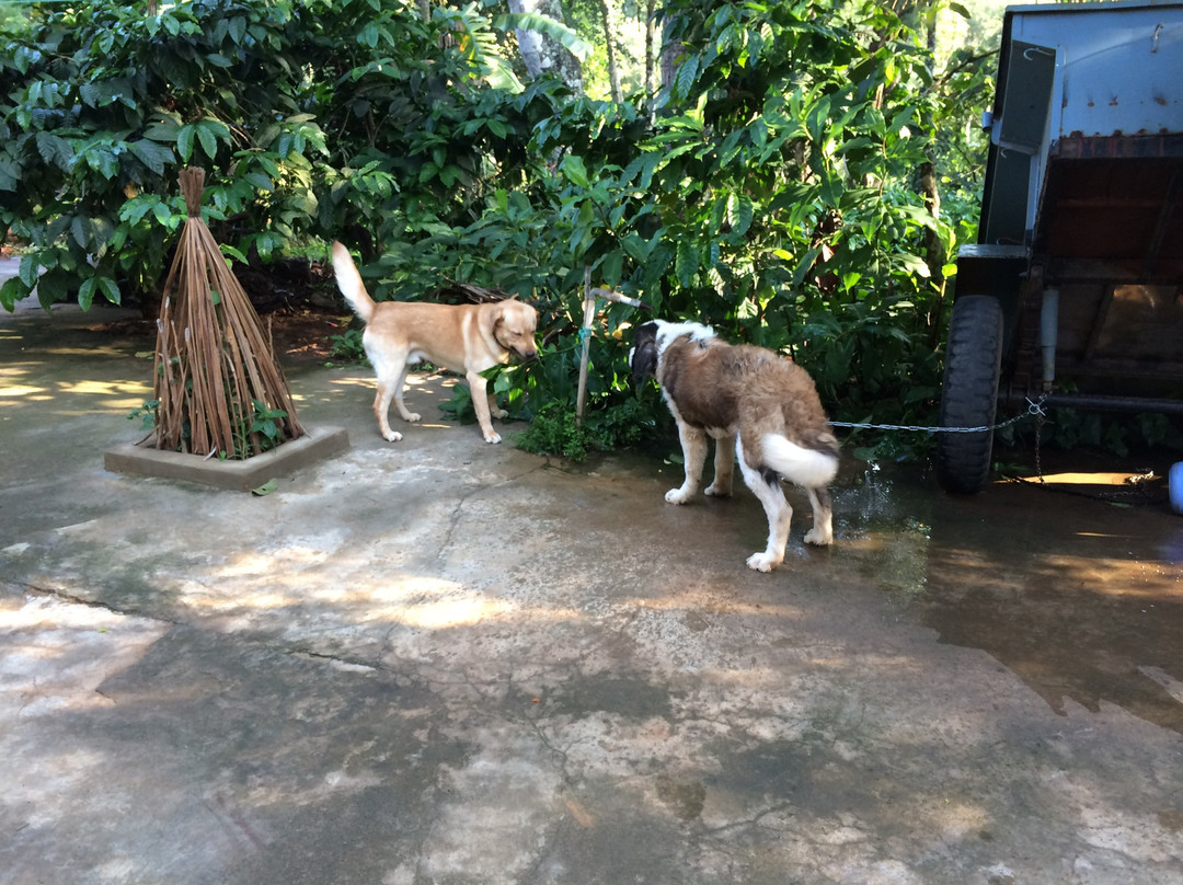 Chilipili Estate Stay主图