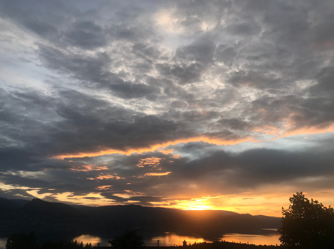 Above Naramata B&B主图