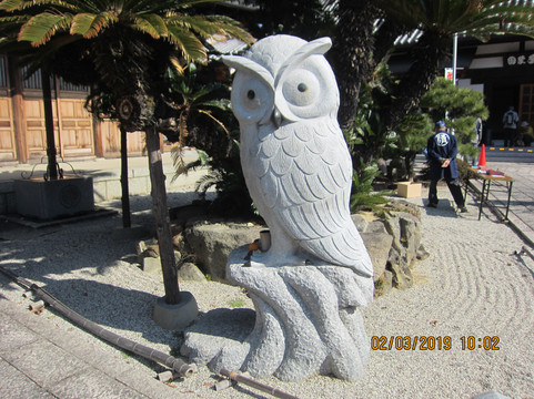 Sogenji Temple-丰明市必去景点