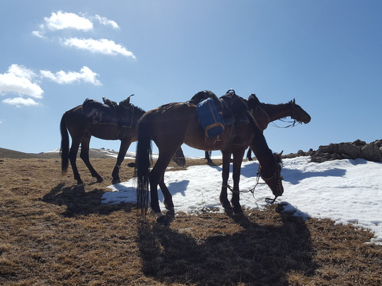 Apple Hostel Tours and Activities-比斯凯克必去景点