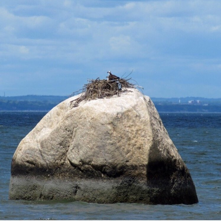 Target Rock National Wildlife Refuge景点图片