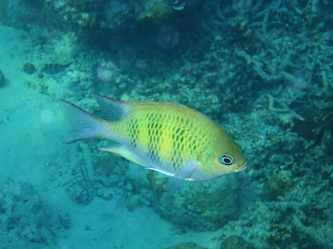 玛哈玛雅度假酒店主图