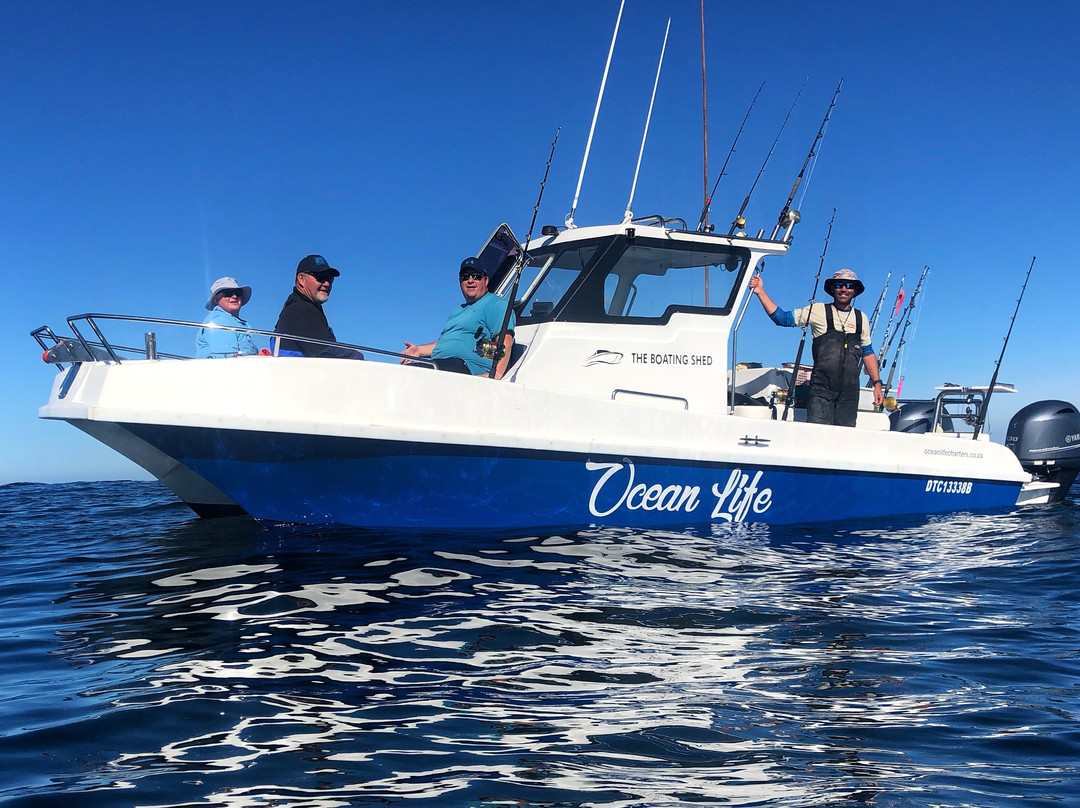 Ocean Life Charters-开普敦必去景点