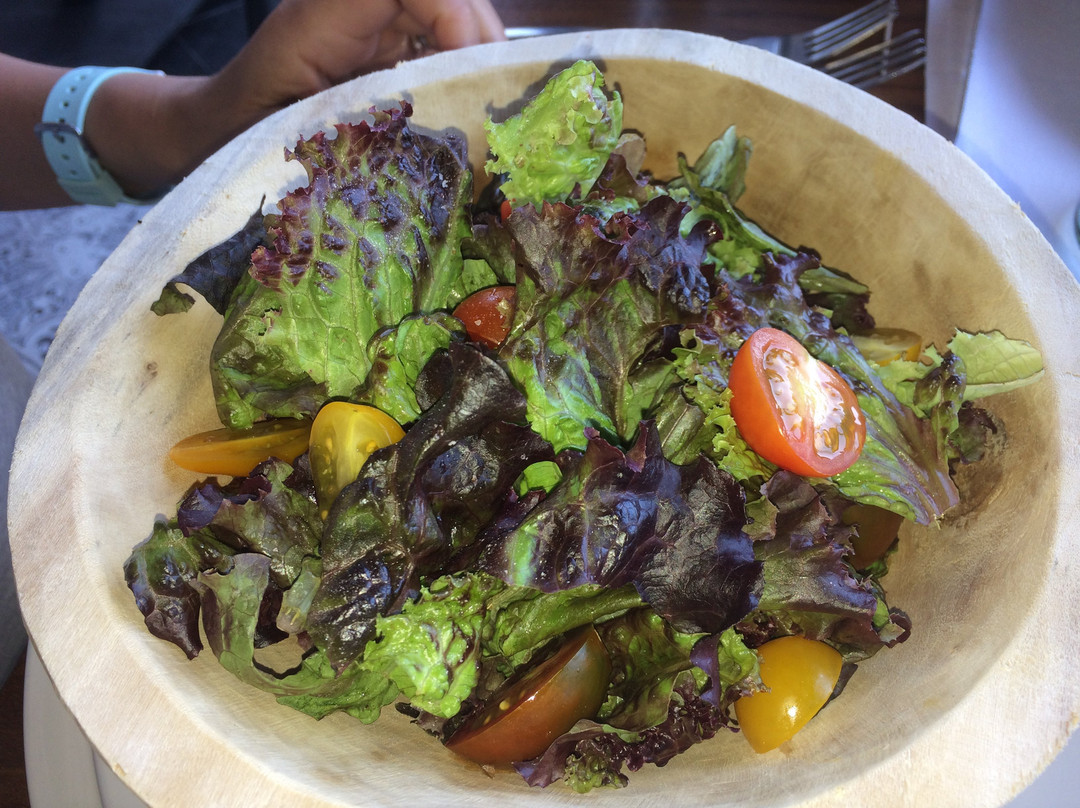 Viñedos San Lucas主图